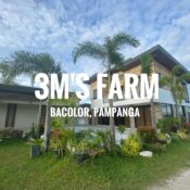 3M’s Farm