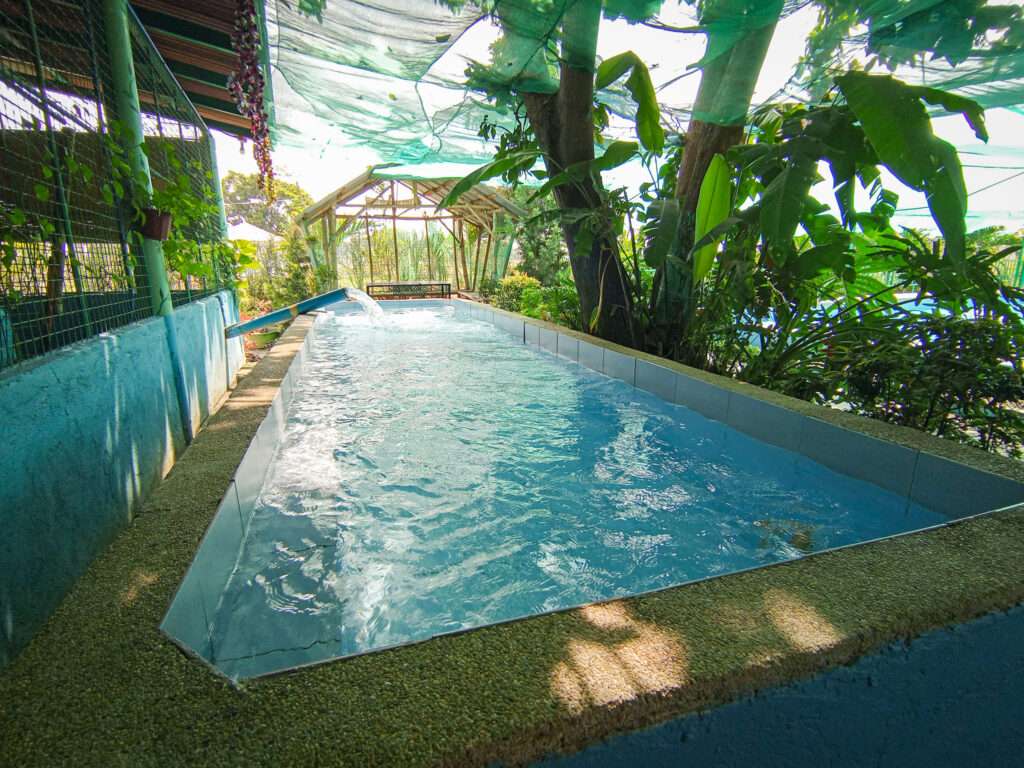 Caldo’s Private Pool