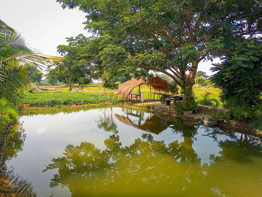 Caldo’s Private Pool