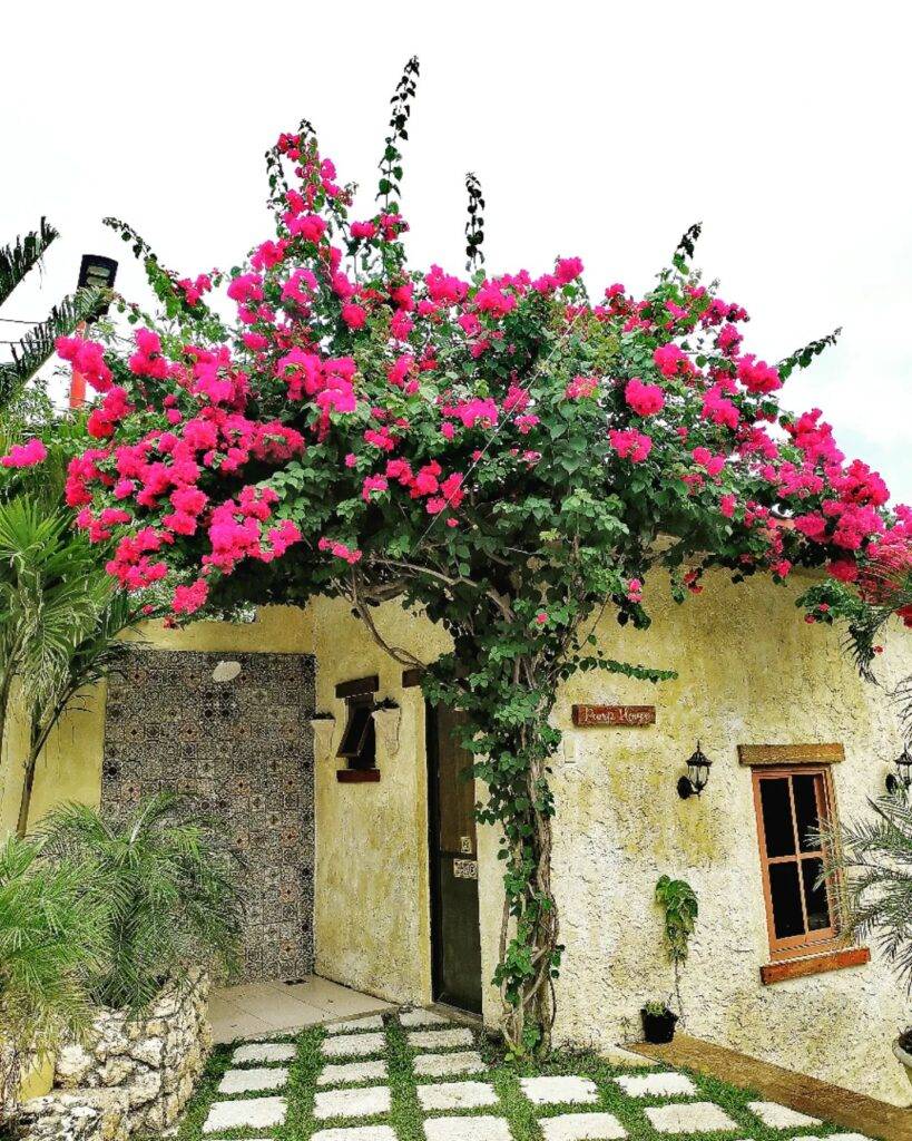 La Casa Di Beatrice Panglao Bohol