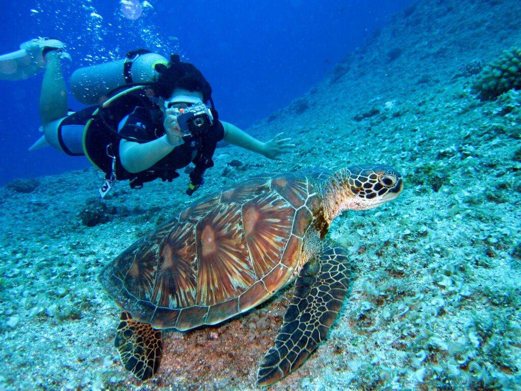 Aiyanar Beach and Dive Resort