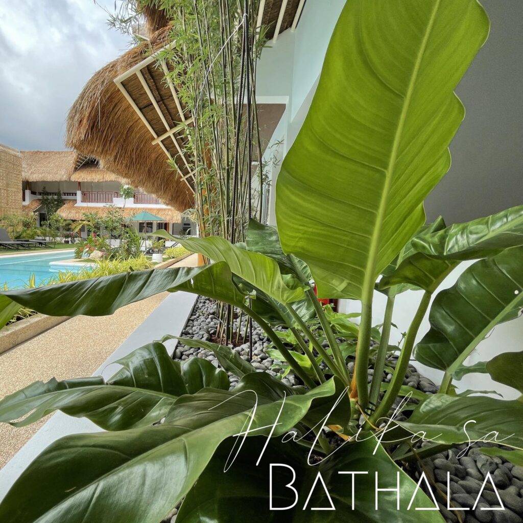 Bathala Resort